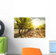 Vineyards at Sunset in Autumn Harvest Wall Mural