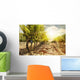 Vineyards at Sunset in Autumn Harvest Wall Mural