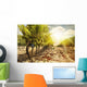 Vineyards at Sunset in Autumn Harvest Wall Mural