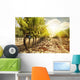 Vineyards at Sunset in Autumn Harvest Wall Mural