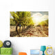Vineyards at Sunset in Autumn Harvest Wall Mural