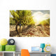 Vineyards at Sunset in Autumn Harvest Wall Mural