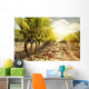 Vineyards at Sunset in Autumn Harvest Wall Mural