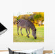 Plains Zebra Equus Quagga Wall Mural