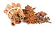 Anise Cinammon and Carnation Wall Decal