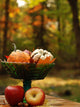 Autumn Centerpiece