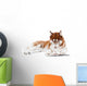 brown siberian husky in specs reading a book Wall Decal