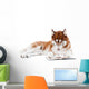 brown siberian husky in specs reading a book Wall Decal