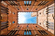 Wide Angle Palazzo