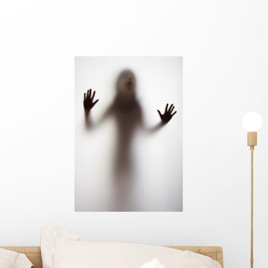 Girl Silhouette behind Transparent