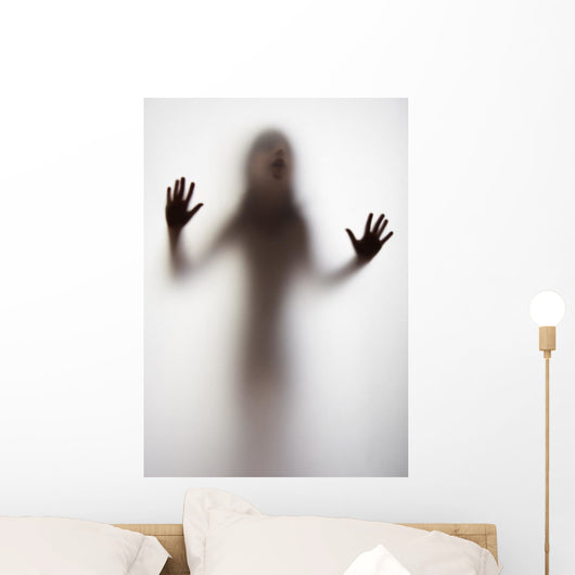 Girl Silhouette behind Transparent