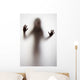 Girl Silhouette behind Transparent