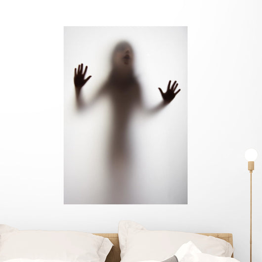 Girl Silhouette behind Transparent