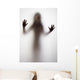 Girl Silhouette behind Transparent