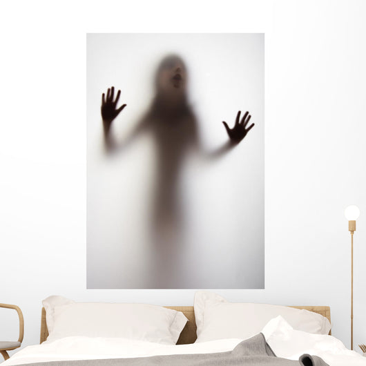 Girl Silhouette behind Transparent