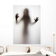Girl Silhouette behind Transparent