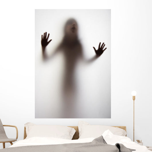Girl Silhouette behind Transparent