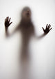 Girl Silhouette behind Transparent