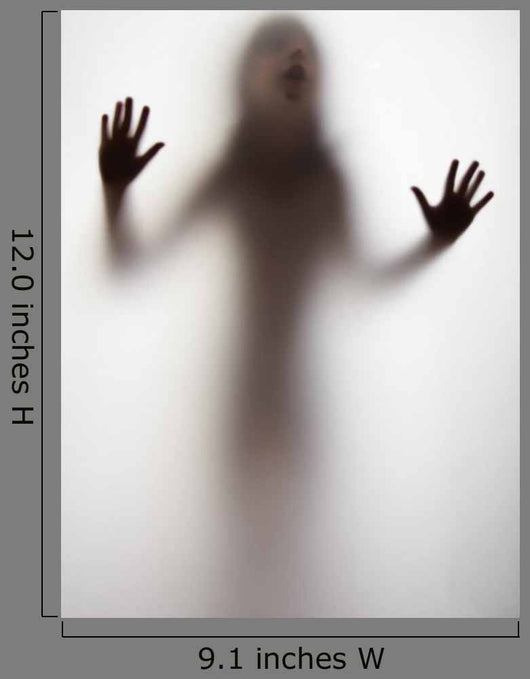 Girl Silhouette behind Transparent