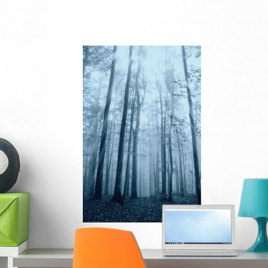 Wood with Fog and
