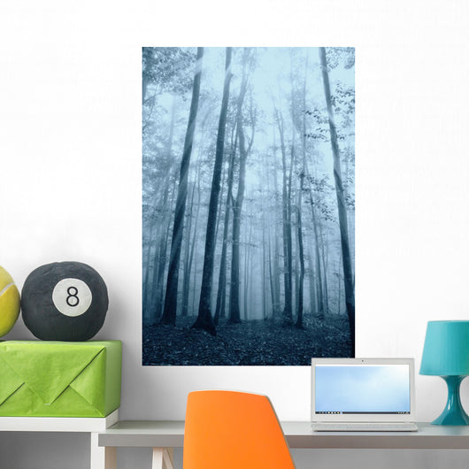 Wood with Fog and