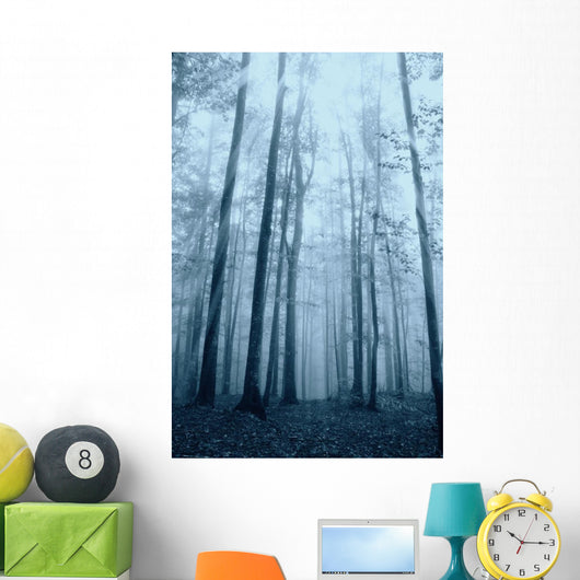 Wood with Fog and