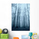 Wood with Fog and