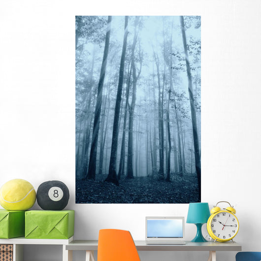 Wood with Fog and