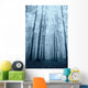 Wood with Fog and
