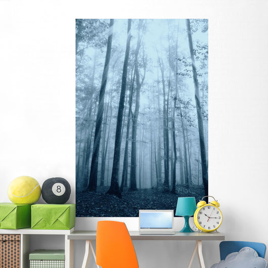 Wood with Fog and