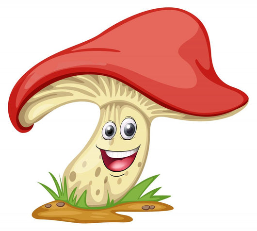 A Mushroom With Face Wall Decal