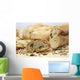 organic bread with various seeds and cereals Wall Mural