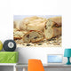 organic bread with various seeds and cereals Wall Mural