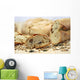 organic bread with various seeds and cereals Wall Mural