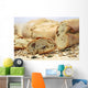 organic bread with various seeds and cereals Wall Mural