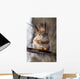 Squirrel on a Twig 4 Wall Mural