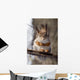Squirrel on a Twig 4 Wall Mural