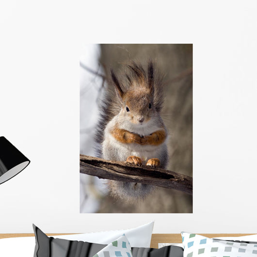 Squirrel on a Twig 4 Wall Mural