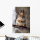 Squirrel on a Twig 4 Wall Mural