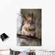 Squirrel on a Twig 4 Wall Mural