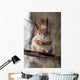 Squirrel on a Twig 4 Wall Mural