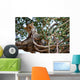 Leopard Tree Wall Mural