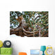 Leopard Tree Wall Mural