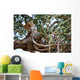 Leopard Tree Wall Mural