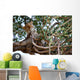 Leopard Tree Wall Mural