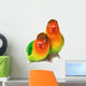 Pair of lovebirds agapornis-fischeri isolated on white. Wall Decal