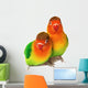 Pair of lovebirds agapornis-fischeri isolated on white. Wall Decal