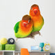 Pair of lovebirds agapornis-fischeri isolated on white. Wall Decal