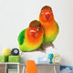Pair of lovebirds agapornis-fischeri isolated on white. Wall Decal