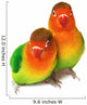 Pair of lovebirds agapornis-fischeri isolated on white. Wall Decal